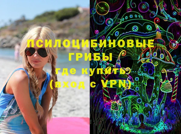 ALPHA PVP Няндома
