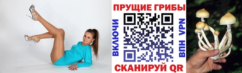 Галлюциногенные грибы мицелий  Сычёвка 